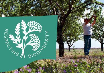 Schutz der Biodiversit&auml;t