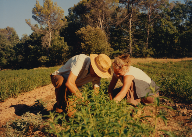 ZOOM SUR NOS PRODUCTEURS