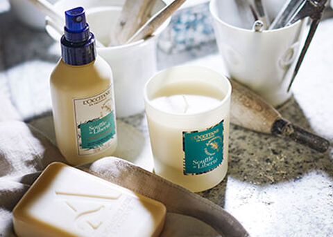 Parfum d'int&eacute;rieur Vitalit&eacute;