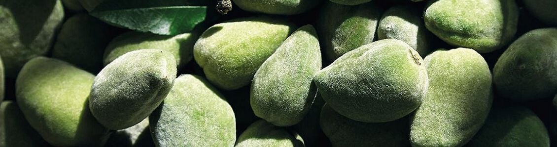 comment se debarrasser de la cellulite