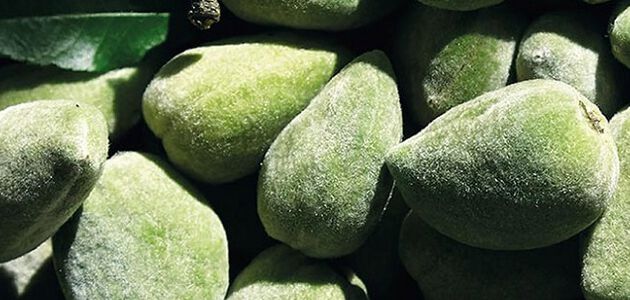 comment se debarrasser de la cellulite