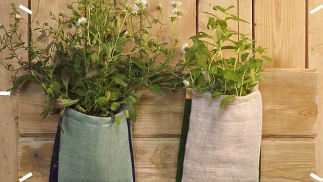 Lecture METTEZ VOS PLANTES EN VALEUR 