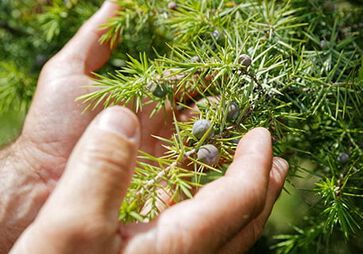 biodiversite