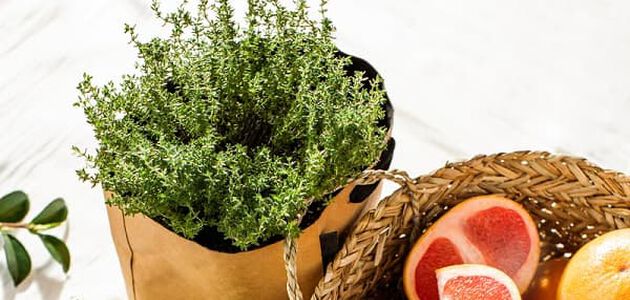 ingredients naturels