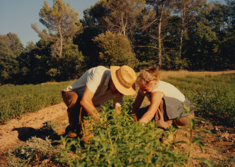 ZOOM SUR NOS PRODUCTEURS