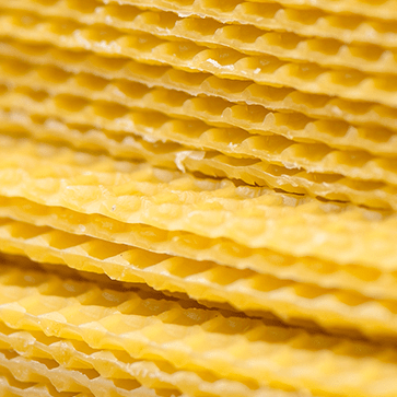 Bienenwachs
