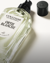Ortie Blanche