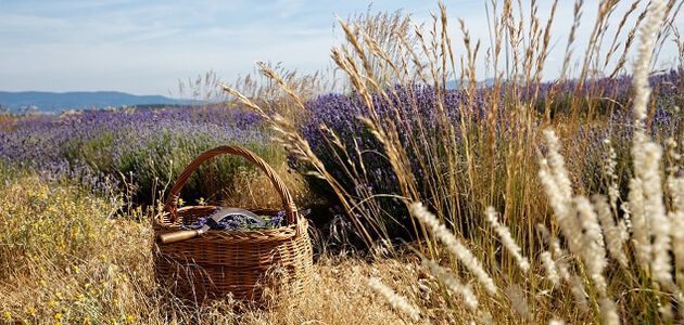 ES WAR EINMAL L'OCCITANE&hellip;