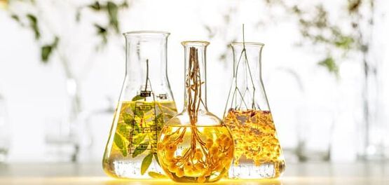 Hyalurons&auml;ure Molek&uuml;l