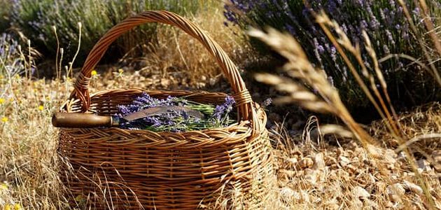ingredients naturels soin corps
