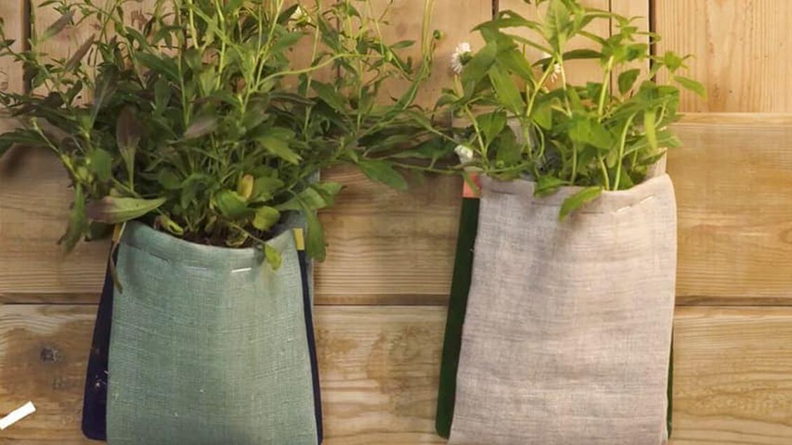 Lecture METTEZ VOS PLANTES EN VALEUR 