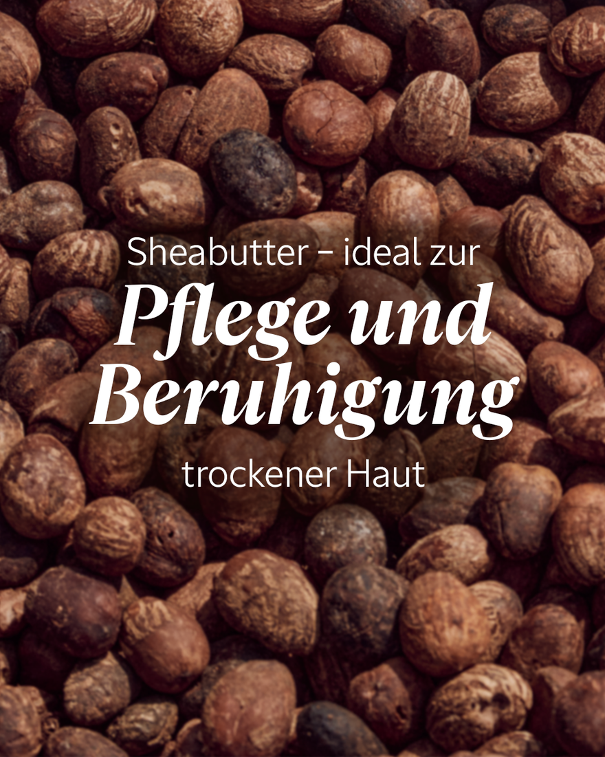 Bildanzeige 6/9 des Produkts Nachf&uuml;llpackung Sheabutter Ultra Riche K&ouml;rpercreme, , RECT