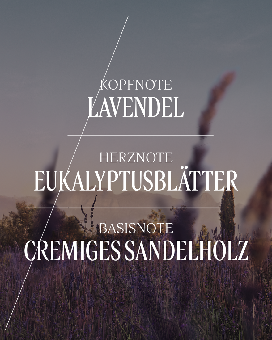 Bildanzeige 5/8 des Produkts Eau de Toilette Lavande, , RECT