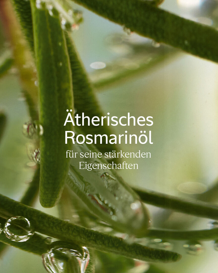 Bildanzeige 3/3 des Produkts Aromachologie Kraft & Volumen Conditioner, , RECT
