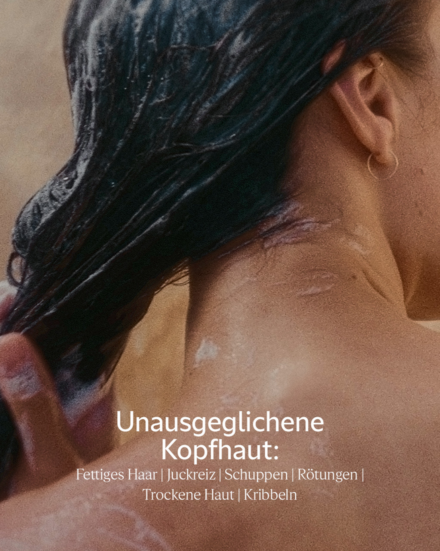 Bildanzeige 4/6 des Produkts Aromachologie Sanfte Balance Shampoo, , RECT