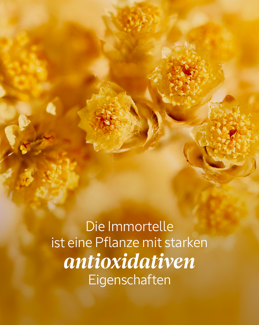 Bildanzeige 4/9 des Produkts Immortelle Overnight Reset &Ouml;l-in-Serum, , RECT