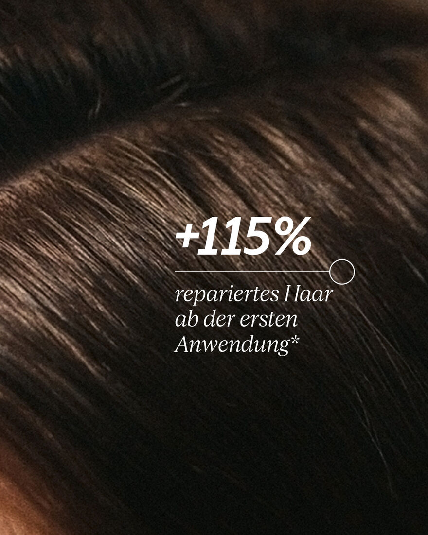 Bildanzeige 3/6 des Produkts Intensiv-Repair Shampoo, , RECT