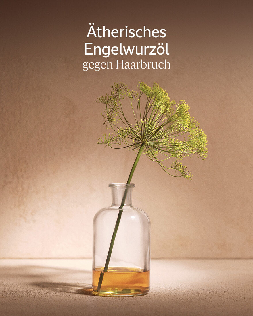 Bildanzeige 5/6 des Produkts Aromachologie Intensiv-Repair Haar&ouml;l, , RECT