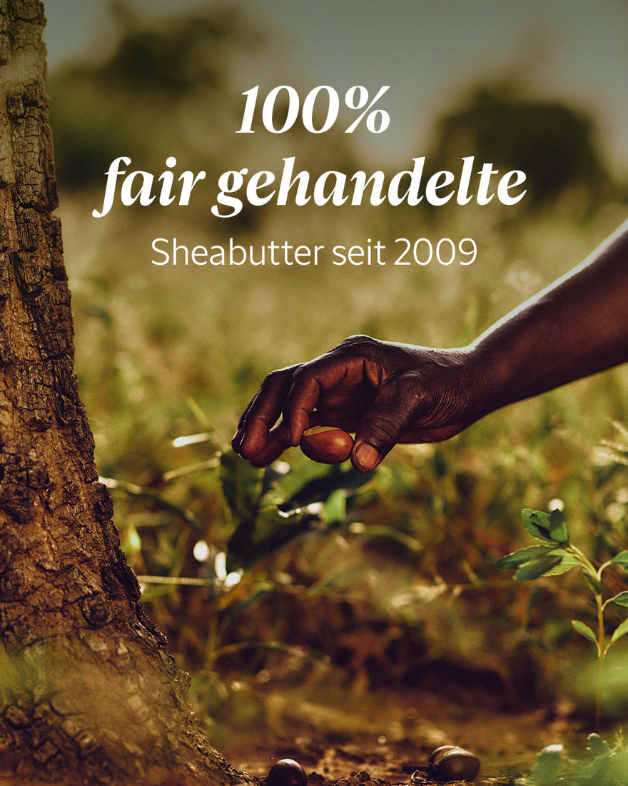 Bildanzeige 6/7 des Produkts Shea Intensiv pflegender Handbalsam, , RECT