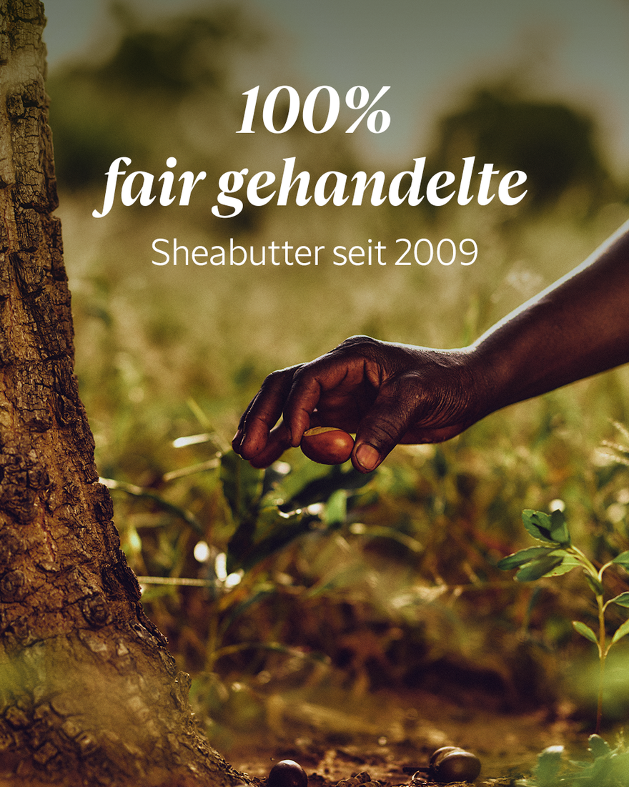 Bildanzeige 7/9 des Produkts Nachf&uuml;llpackung Sheabutter Ultra Riche K&ouml;rpercreme, , RECT