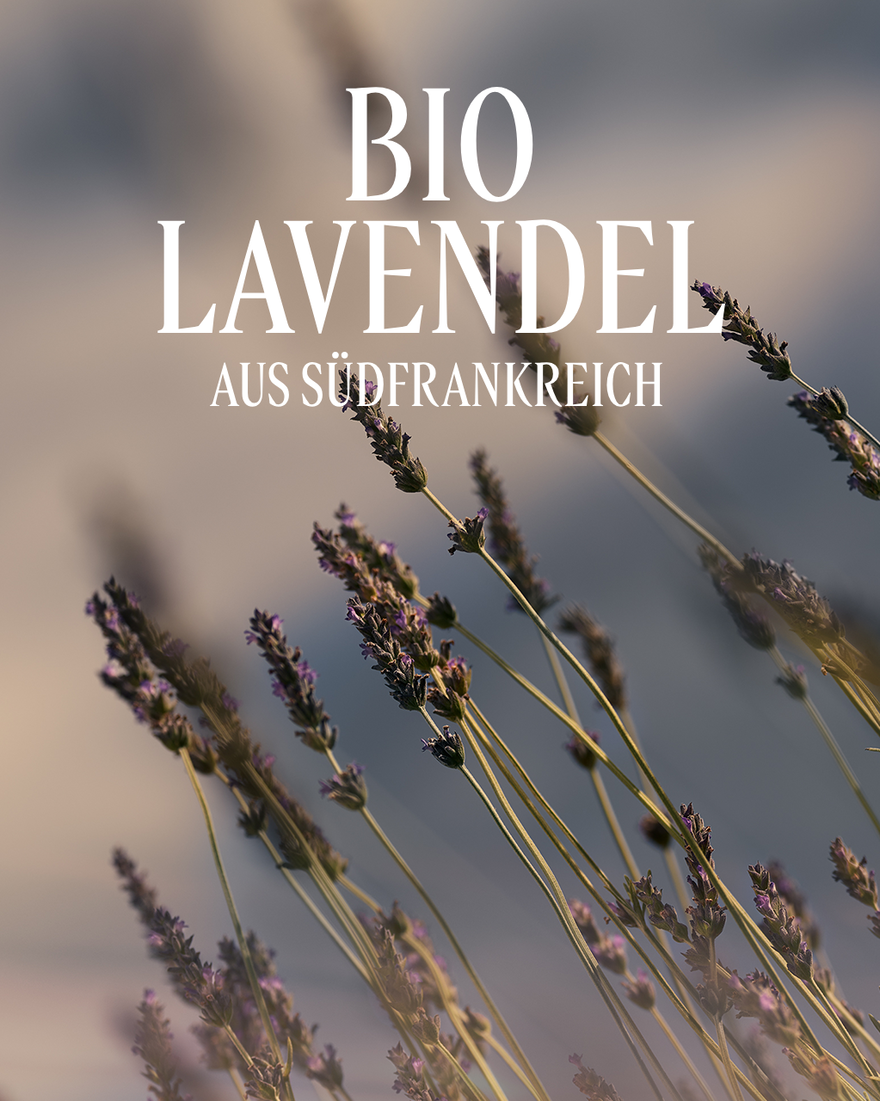Bildanzeige 3/4 des Produkts Nachf&uuml;llpackung Schaumbad Lavande, , RECT