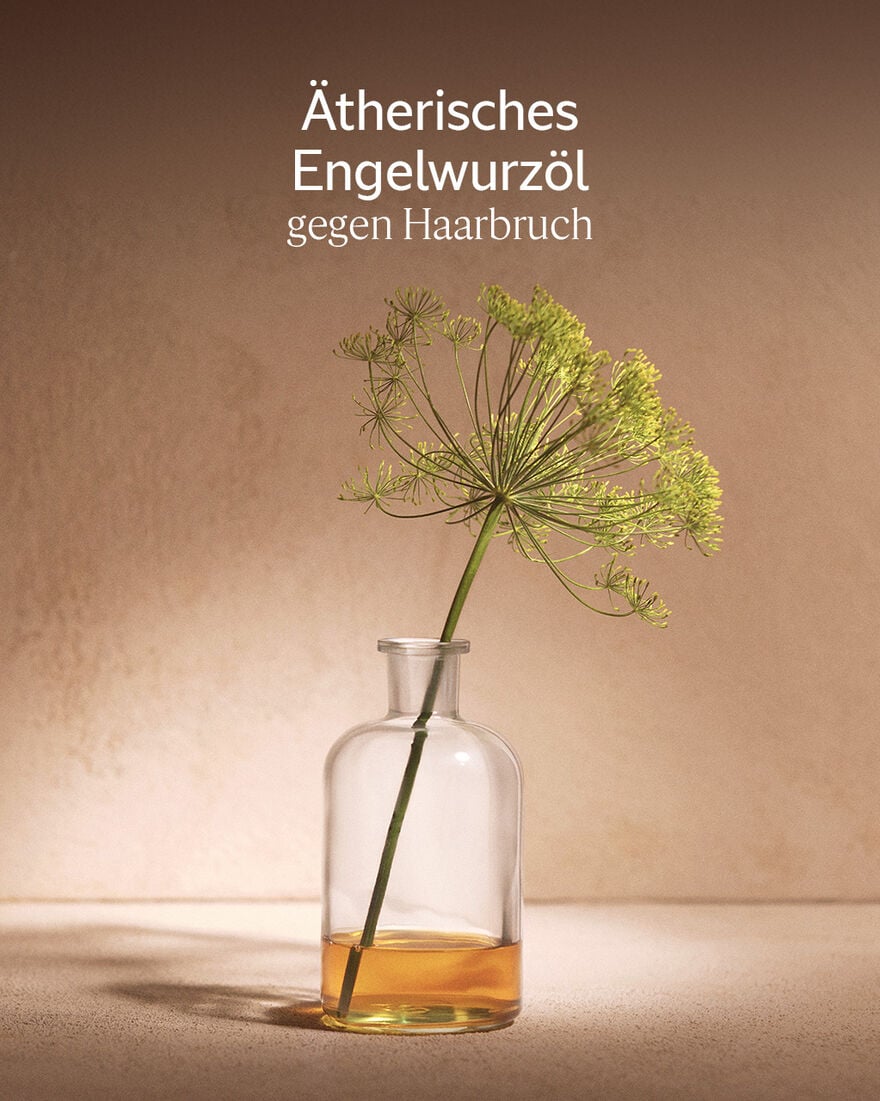 Bildanzeige 5/6 des Produkts Aromachologie Intensiv-Repair Haar&ouml;l, , RECT