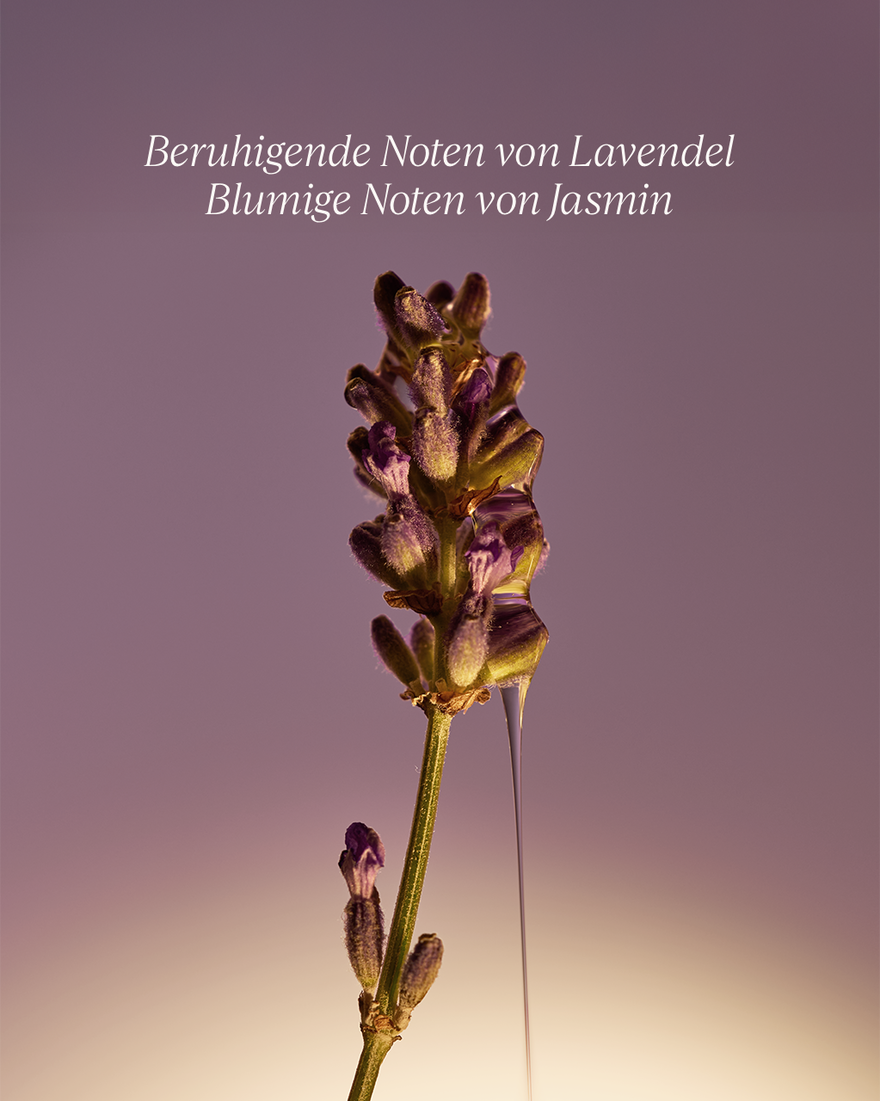 Bildanzeige 6/7 des Produkts Nachf&uuml;llpackung Fl&uuml;ssigseife f&uuml;r H&auml;nde & K&ouml;rper Lavendel, , RECT