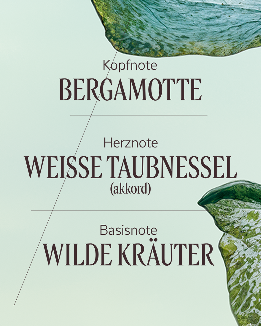 Bildanzeige 4/7 des Produkts Eau de Parfum Ortie Blanche (Herbae), , RECT