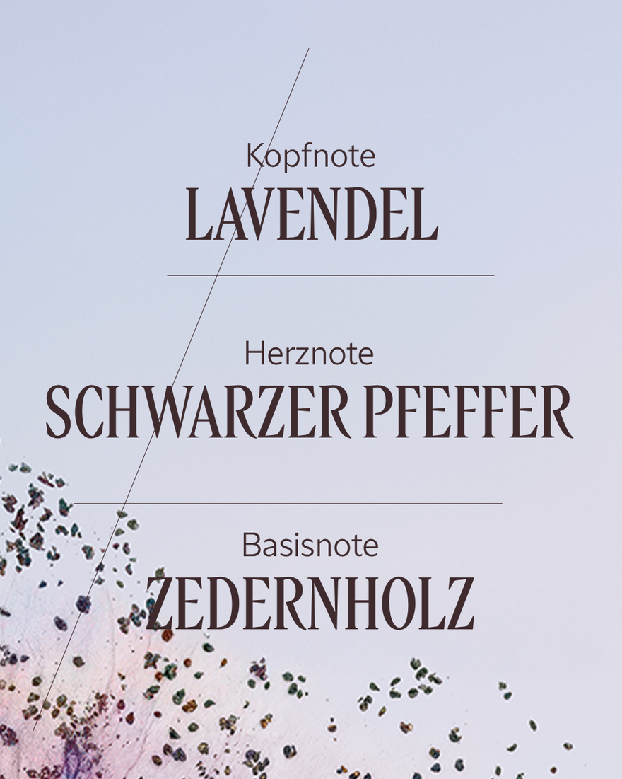 Bildanzeige 4/7 des Produkts Eau de Toilette Lavande Poivre Noir (L'Occitan), , RECT