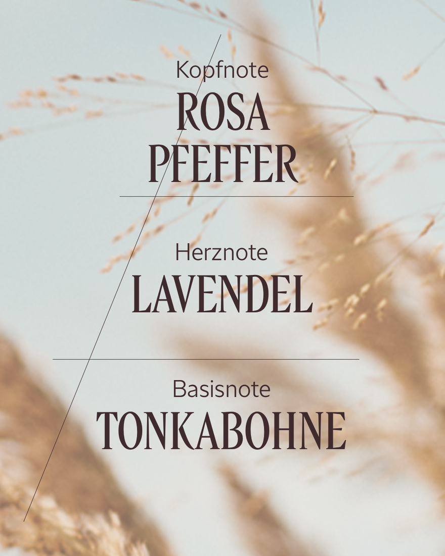 Bildanzeige 3/5 des Produkts Eau de Toilette Terre de Lumi&egrave;re, , RECT