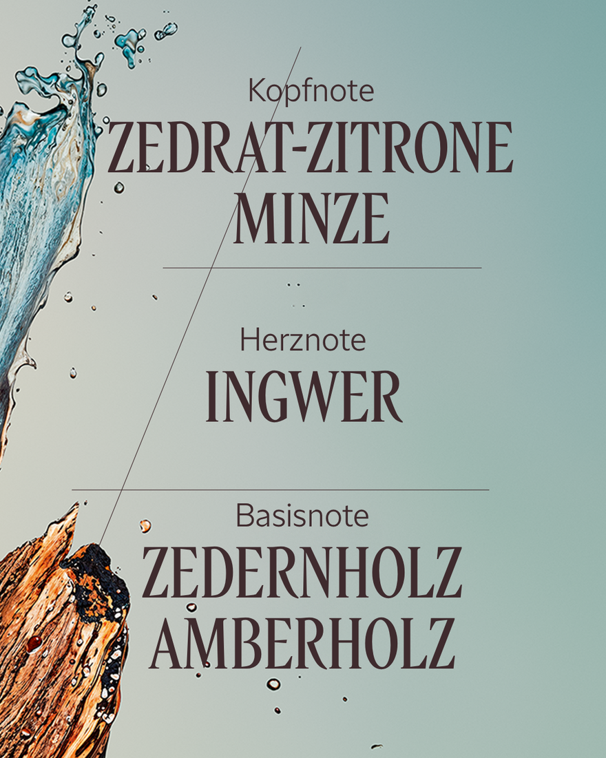 Bildanzeige 4/7 des Produkts Eau de Toilette C&egrave;dre Gingembre (Cap C&eacute;drat), , RECT