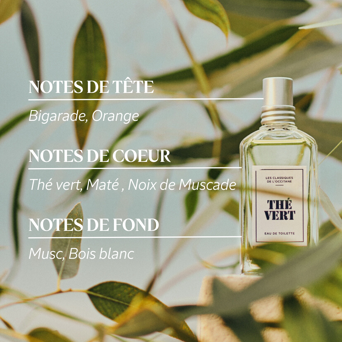 L'OCCITANE (ロクシタン) オードトワレ グリーンティ The Vert 50ml 残