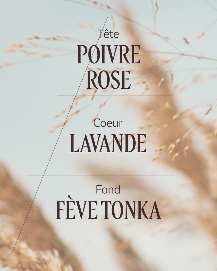 Affichage de l&rsquo;image 3/5 du produit Eau de Toilette Terre de Lumi&egrave;re, , RECT