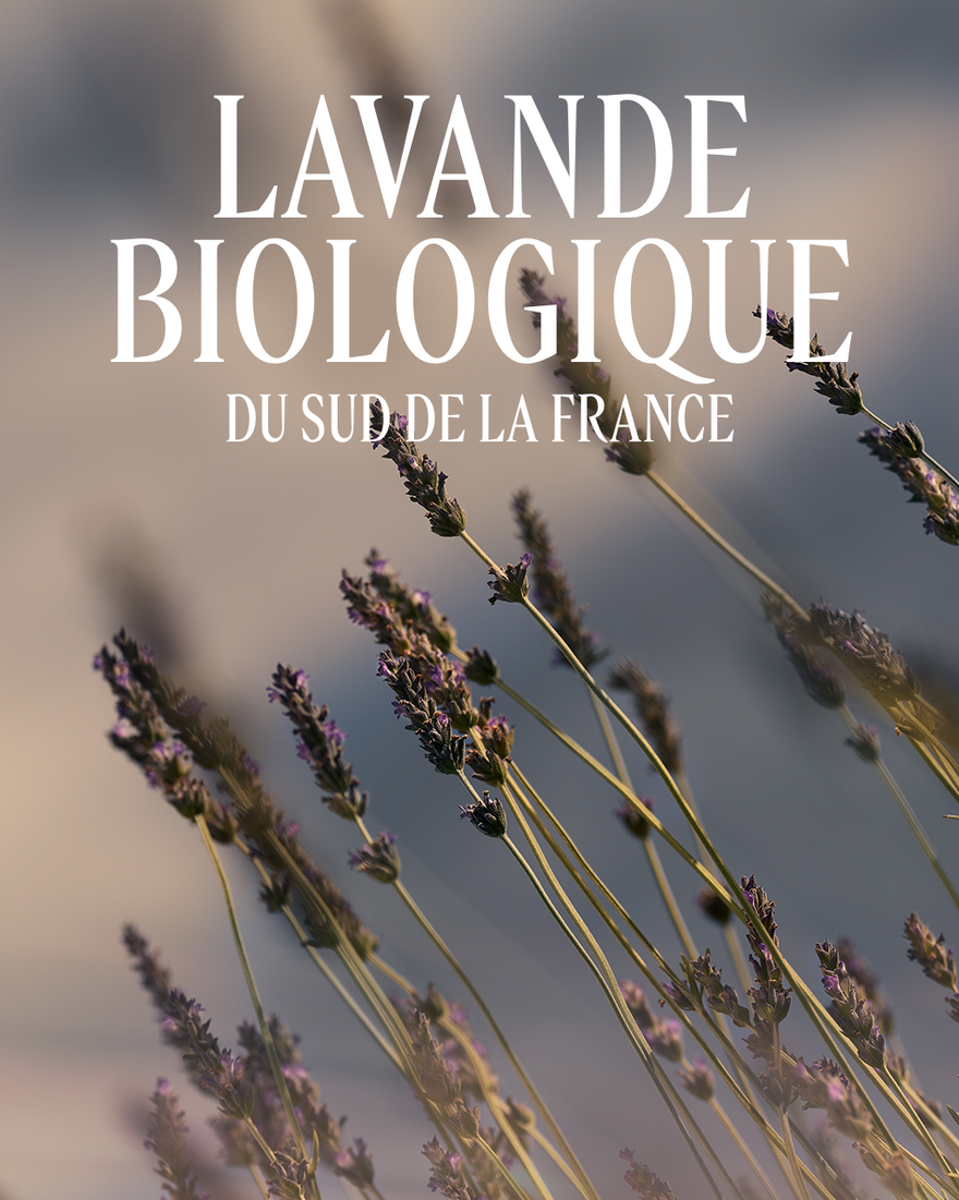Affichage de l&rsquo;image 6/8 du produit Eau de Toilette Lavande, , RECT