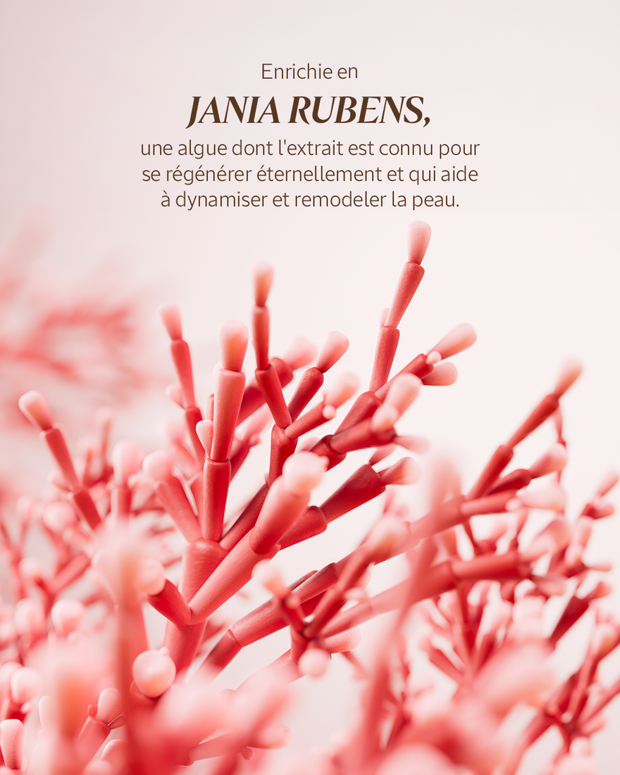 Affichage de l&rsquo;image 3/7 du produit S&eacute;rum jeunesse d'exception Immortelle Harmonie, , RECT