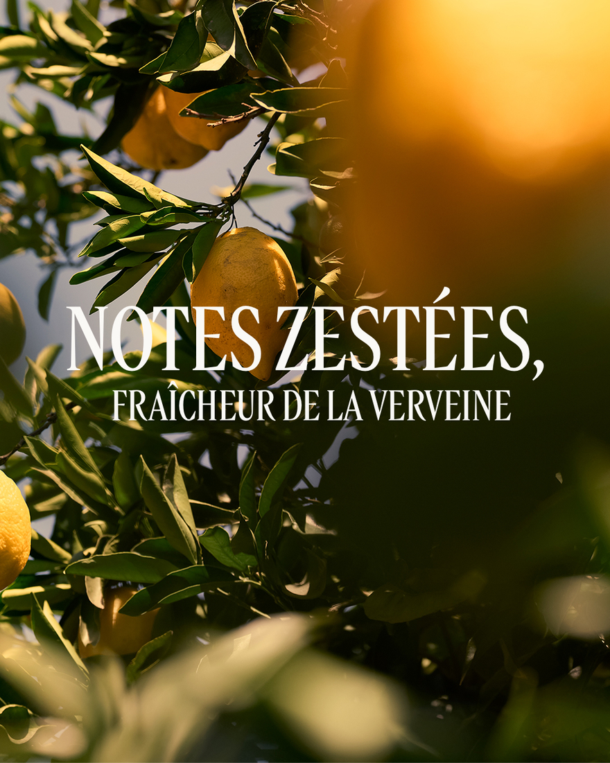 Affichage de l&rsquo;image 4/5 du produit Cr&egrave;me Mains Verveine Agrumes, , RECT