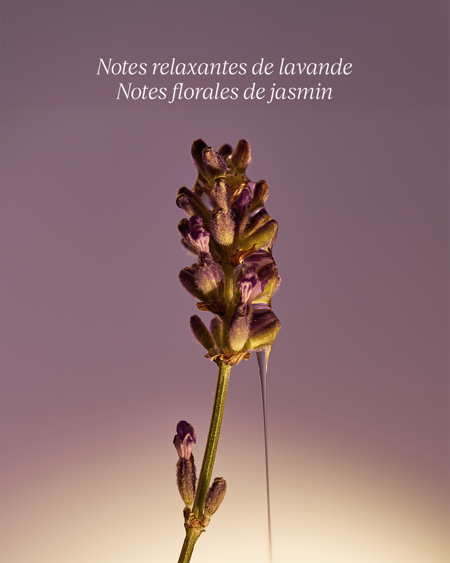 Affichage de l&rsquo;image 6/7 du produit Recharge Savon Liquide Mains & Corps Lavande, , RECT