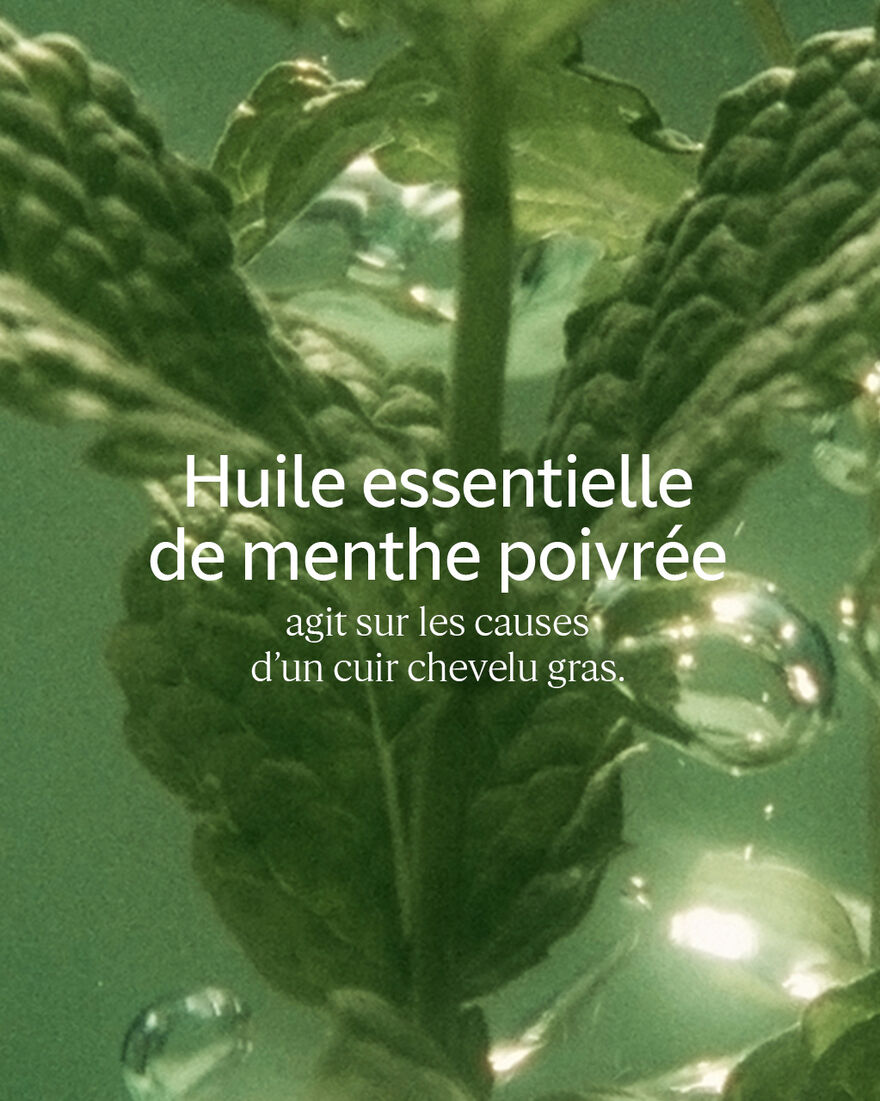 Affichage de l&rsquo;image 5/5 du produit Apr&egrave;s-Shampoing Fra&icirc;cheur Purifiante Aromachologie, , RECT