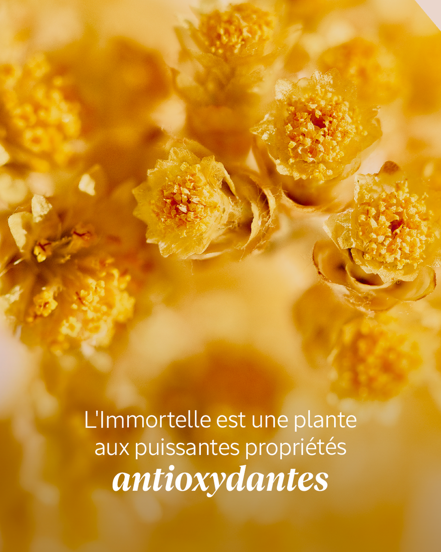 Affichage de l&rsquo;image 3/7 du produit Emulsion Enrichie Immortelle Pr&eacute;cieuse, , RECT