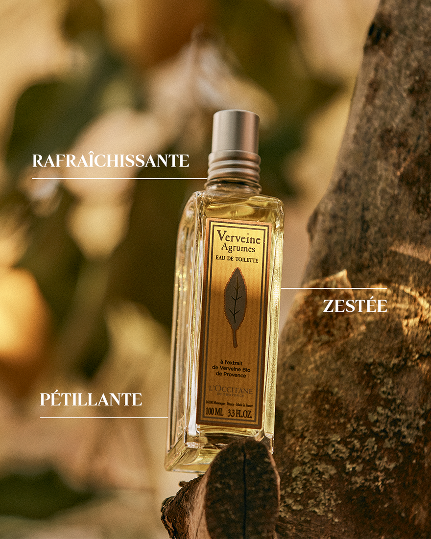 ロクシタン(L'OCCITANE) シトラスヴァーベナ ロクシタン L'Occitane