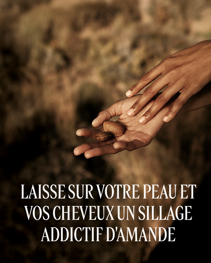 Affichage de l&rsquo;image 3/8 du produit Brume Amande Cr&egrave;me Br&ucirc;l&eacute;e, , RECT